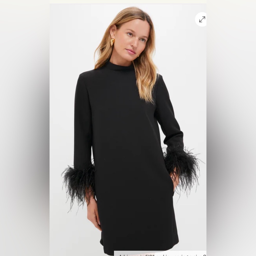 NWT Tuckernuck Black Feather Mod Ellie Dress , Large - Picture 6 of 13